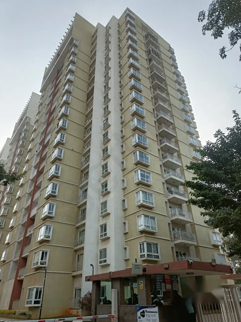RMZ Group in Bengaluru: upvc systems by Riyom Global Solutions